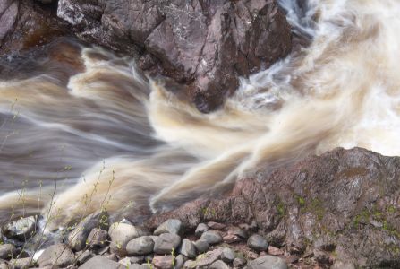 stream01.jpg