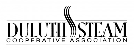 Randy-Wydra_Duluth-Steam-Logo.png
